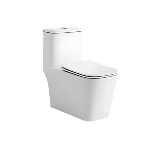 Siphonic One Piece Toilet