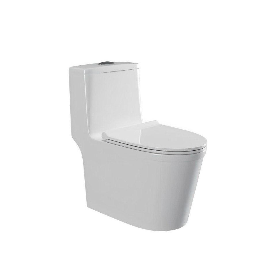 Zilver One Piece Toilet